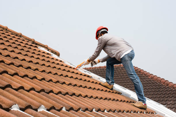 Best Skylight Installation and Repair  in Black Rock, NM